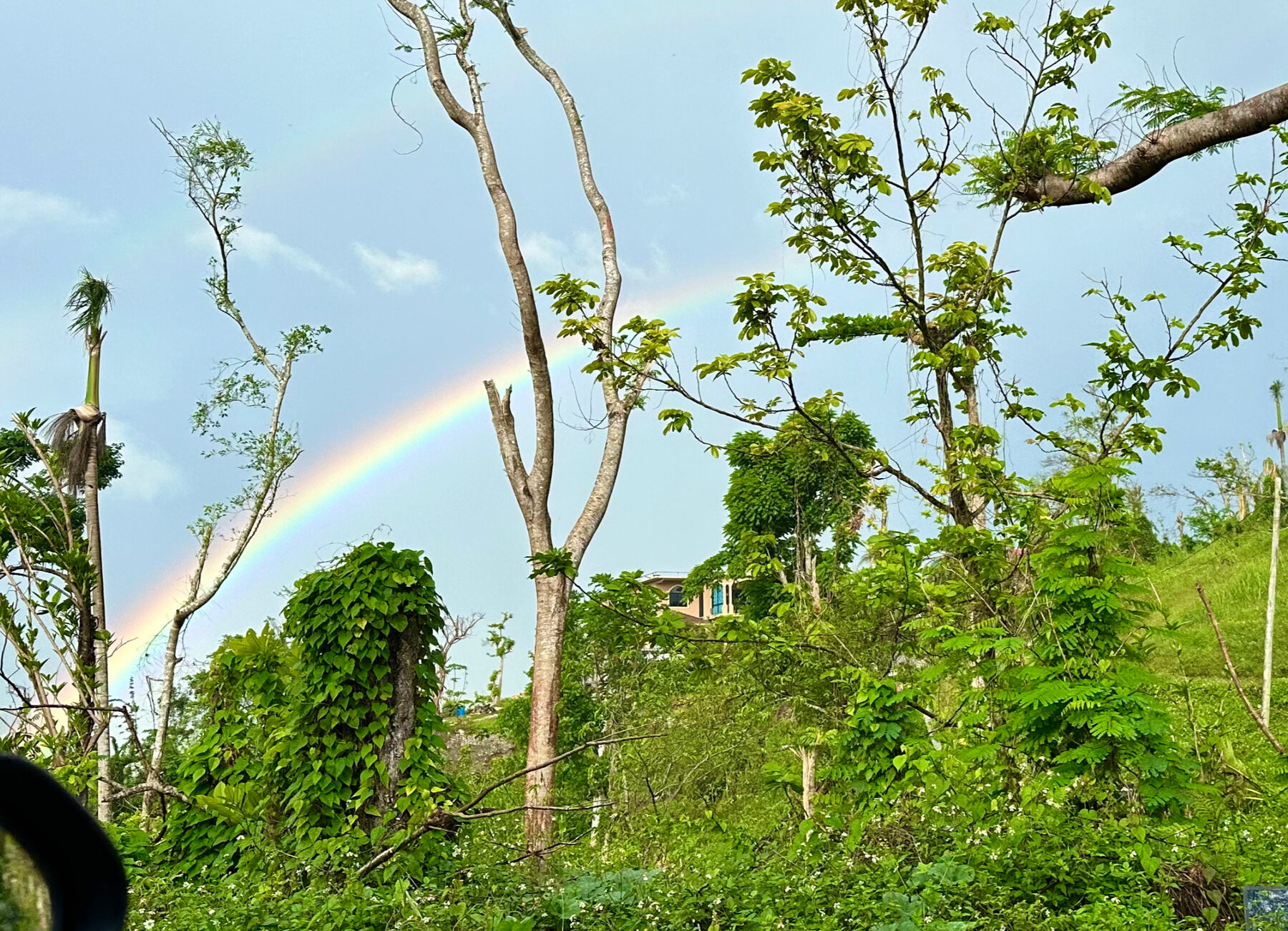 A rainbow over the recovering landscape