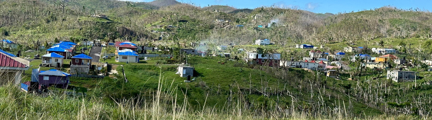 Storm damage across Darliston